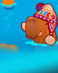Capymania Orange
