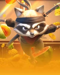 Ninja Racoon Frenzy