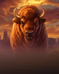 Wild Bison Stampede