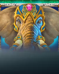 Jungle Giants