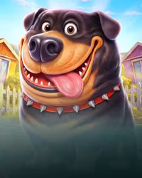 The Dog House Megaways 1000