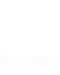 Cricketer X