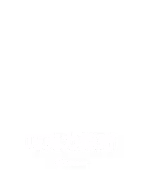 巧克力惊奇