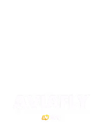 AviaFly