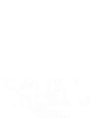 Wild Bison Stampede
