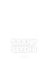 Saanp Seedhi
