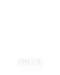 Đua Bi