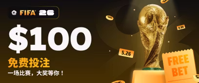 FIFA World Cup Final Raffle